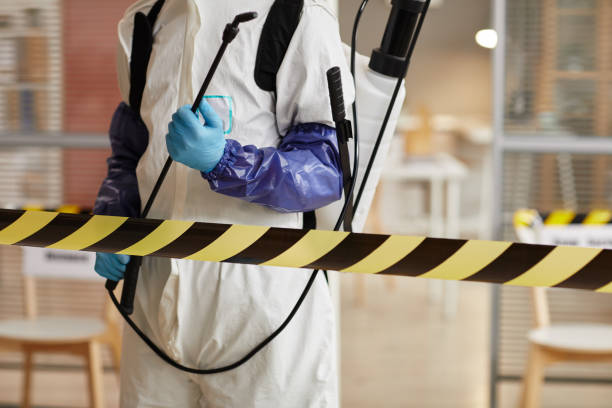 Professional Sewage Cleanup technician working in Laura, OH